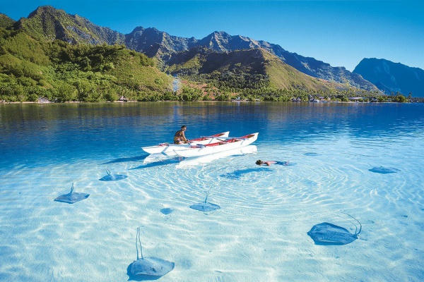 Kết quả hình ảnh cho Cảnh đẹp Sri Lanka