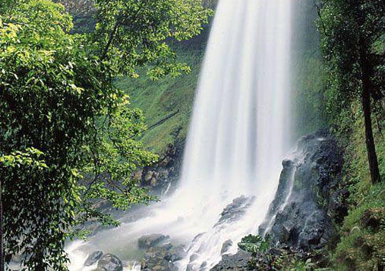 Kết quả hình ảnh cho Thác Dambri, Lâm Đồng