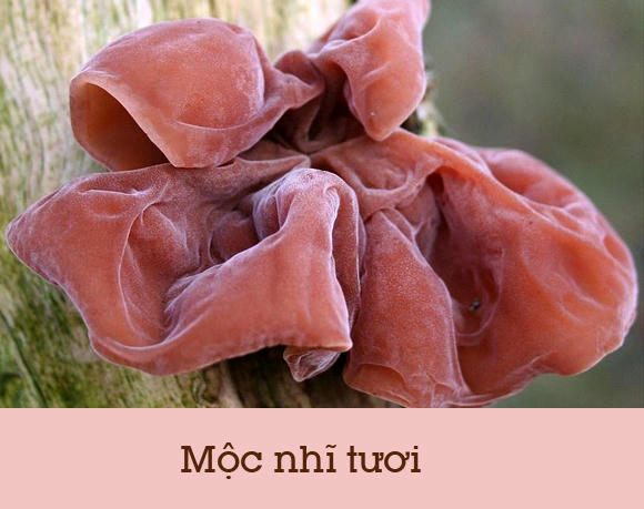 10-loai-thuc-phm-doc-page-7-1