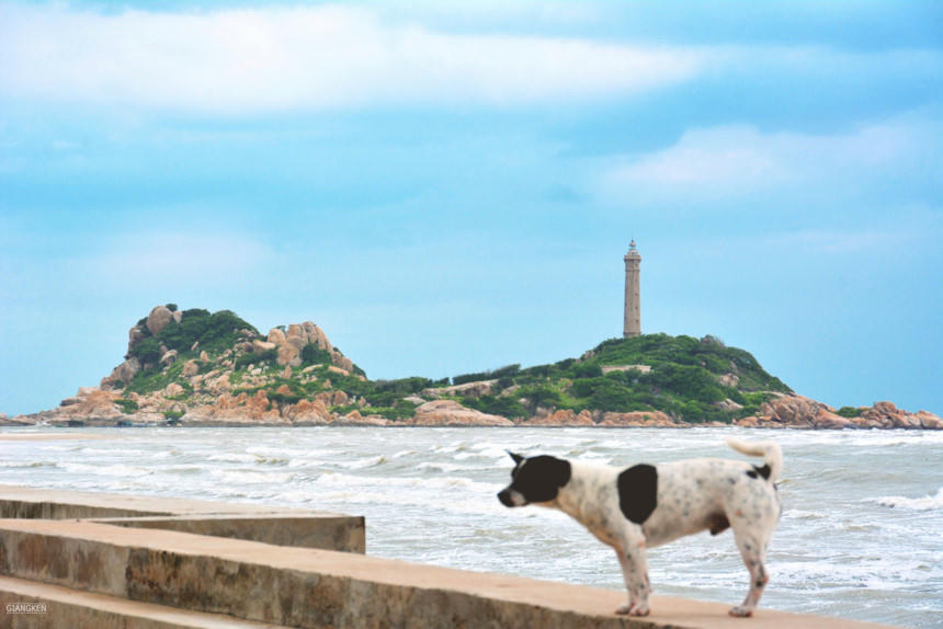 Mua he ruc lua tren cung duong bien dep nhat Viet Nam hinh anh 2