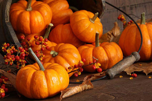 Bí đỏ giàu beta carotene, giúp chống lão hóa da.