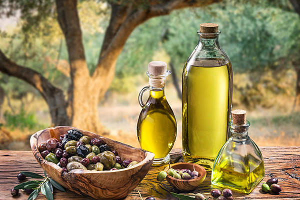 Dầu ô liu chứa nhiều axít béo không bão hòa đơn và giàu các chất chống ôxi hóa có tác dụng lưu giữ tuổi xuân, ngăn ngừa quá trình lão hóa đồng thời ngăn ngừa các bệnh tim mạch.
