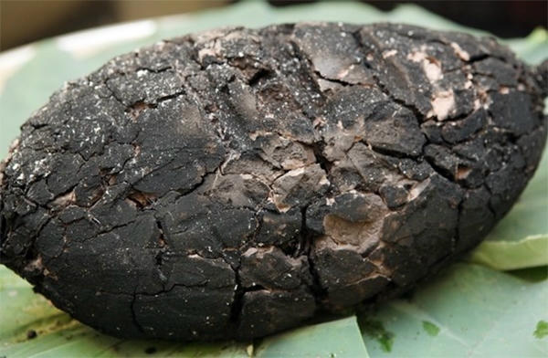 ga boc dat set - mon an cua ga an may len ban tiec hoang cung hinh anh 2