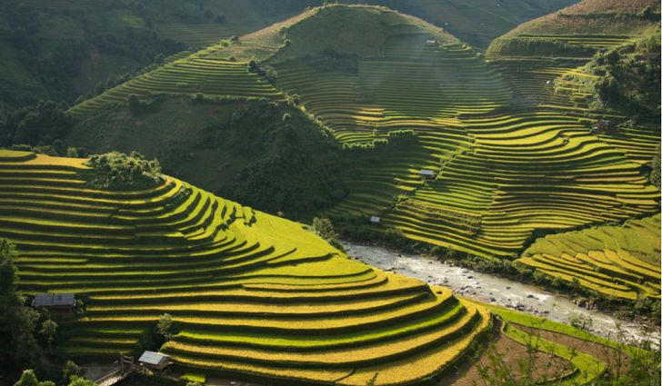 Nhung thua ruong bac thang tuyet dep khap chau A hinh anh 9