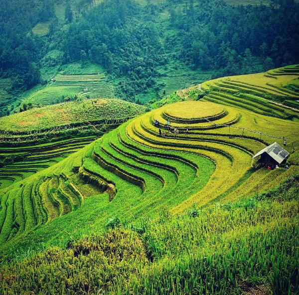 3-cung-duong-ngam-lua-dang-vao-mua-vang-o-tay-bac-page-2-11