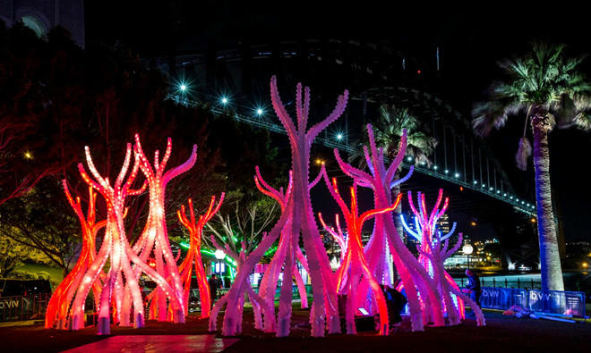 Ghe tham Sydney - kinh do anh sang cua Australia hinh anh 10