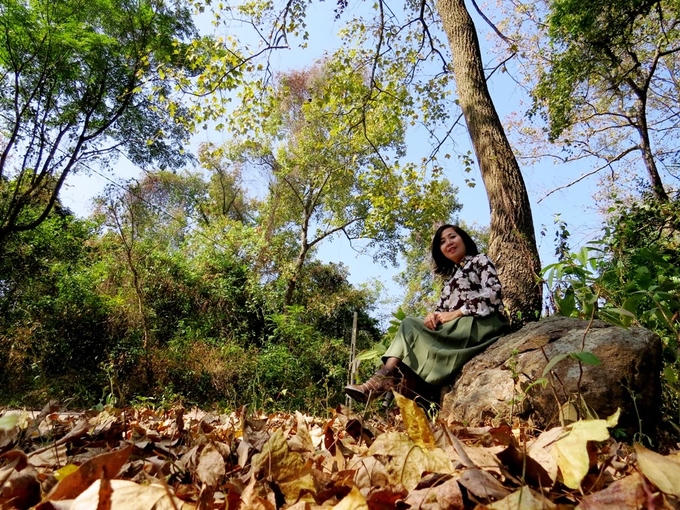 5 điểm ngắm lá phong đỏ ngay ở Việt Nam