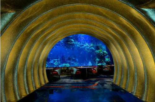 nha-hang-duoi-bien-dau-tien-cua-chau-au-sap-xuat-hien-7