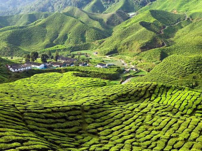 13 bức ảnh khiến bạn muốn xách ba lô đến Malaysia ngay lập tức
