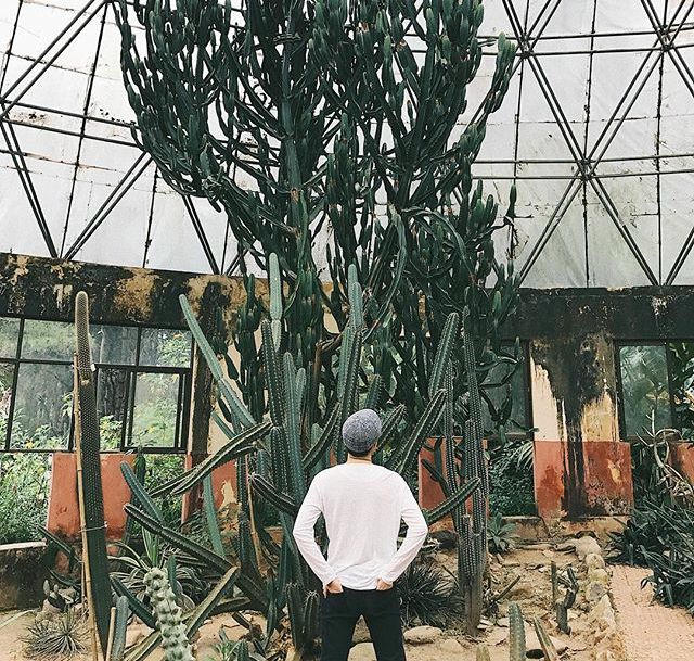 Ảnh: luciusvu1