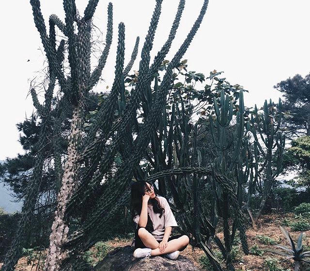 Ảnh: _ttrangg