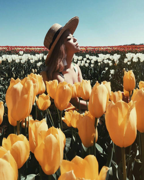 nang-tieu-thu-con-nha-giau-singapore-moi-thang-du-lich-2-lan-6