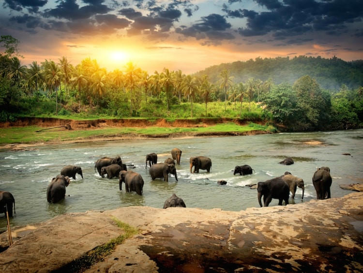 10 diem den gia ca phai chang cho chuyen du lich nam 2018 hinh anh 7