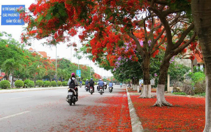 Lên lịch sẵn cho kế hoạch \'săn hoa\' khắp 12 tháng trong năm