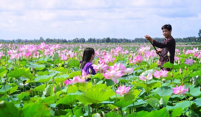 Lên lịch sẵn cho kế hoạch \'săn hoa\' khắp 12 tháng trong năm