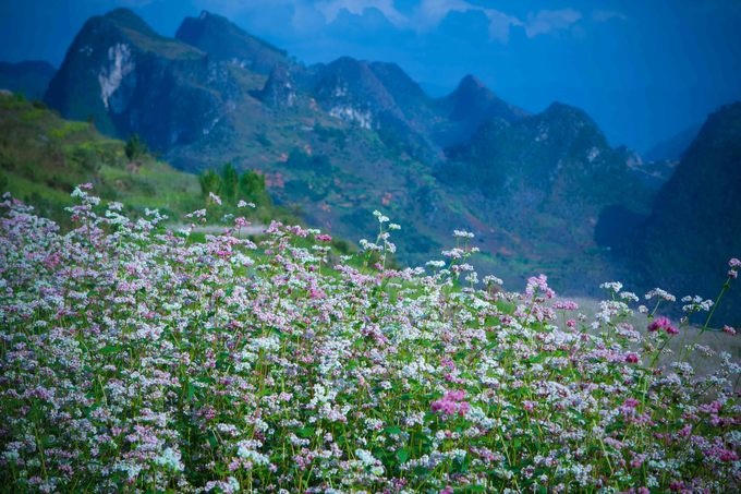 Lên lịch sẵn cho kế hoạch \'săn hoa\' khắp 12 tháng trong năm