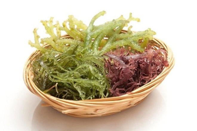 12 thực phẩm có công dụng thanh lọc máu