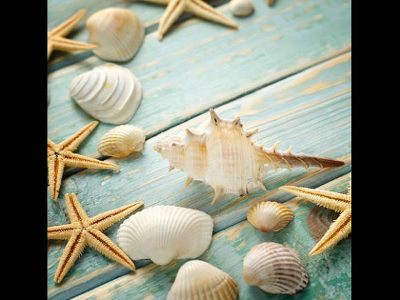 bí quyết làm đẹp 0