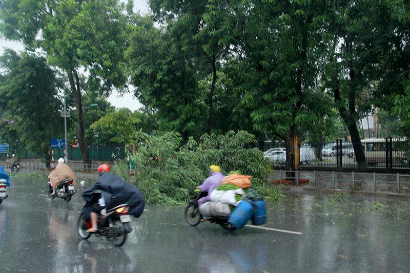 {keywords} {keywords}