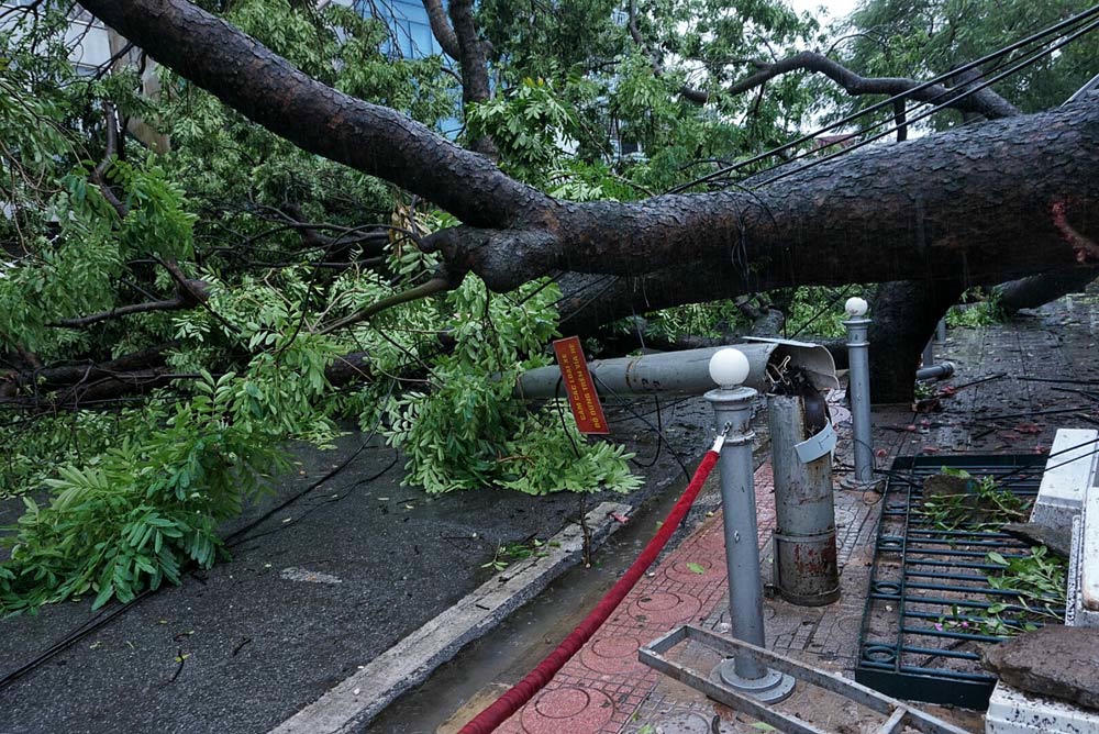 {keywords} {keywords}