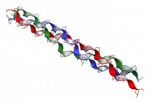 Collagen là gì? -2