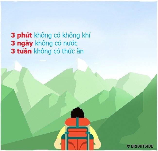 kỹ năng sống, kỹ năng thoát hiểm, kỹ năng tự vệ