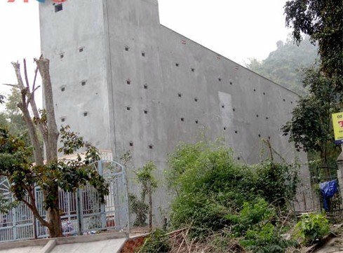 Dân Việt ăn sang: Lợn tẩm bổ thuốc bắc, cà chua bón trứng sữa Dân Việt ăn sang: Lợn tẩm bổ thuốc bắc, cà chua bón trứng sữa