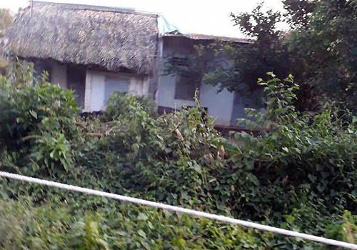 thi-the-thieu-nu-loa-the-trong-bao-tai-ven-duong-1