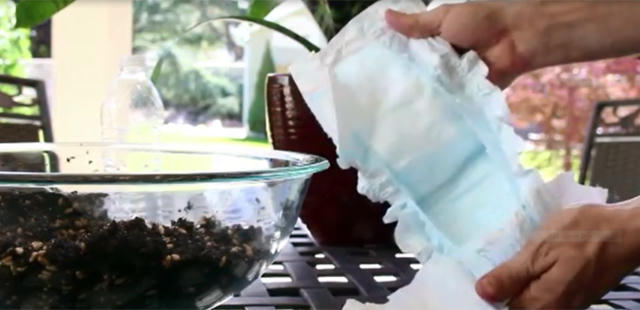 trong rau lon vu vu bang bim tre em: kho tin nhung co that hinh anh 3