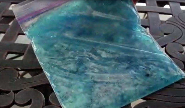 trong rau lon vu vu bang bim tre em: kho tin nhung co that hinh anh 5