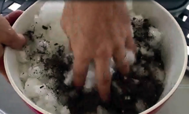 trong rau lon vu vu bang bim tre em: kho tin nhung co that hinh anh 8