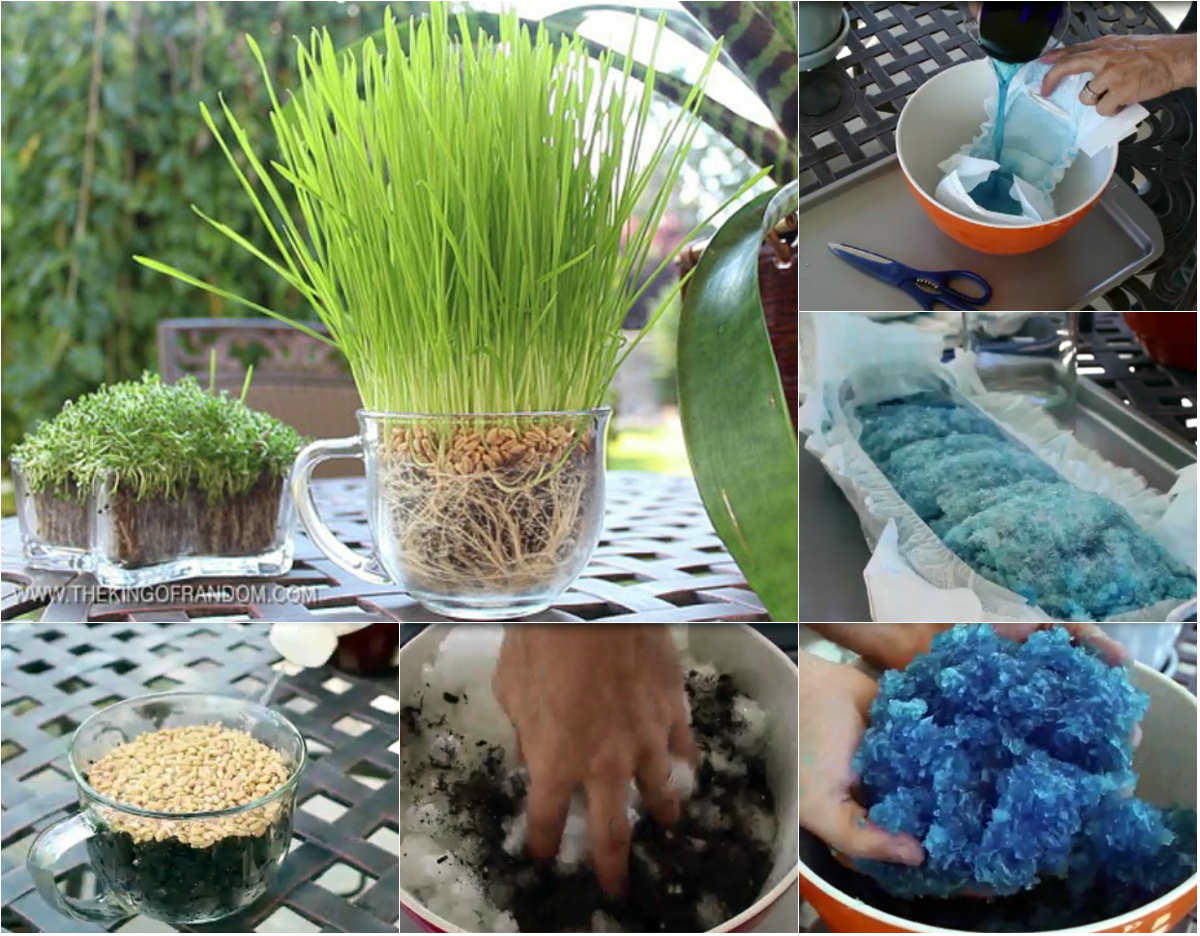 trong rau lon vu vu bang bim tre em: kho tin nhung co that hinh anh 1