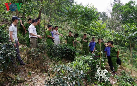 bat khan cap nghi can vu nguoi phu nu chet tren doi che 2 tay bi troi hinh 2