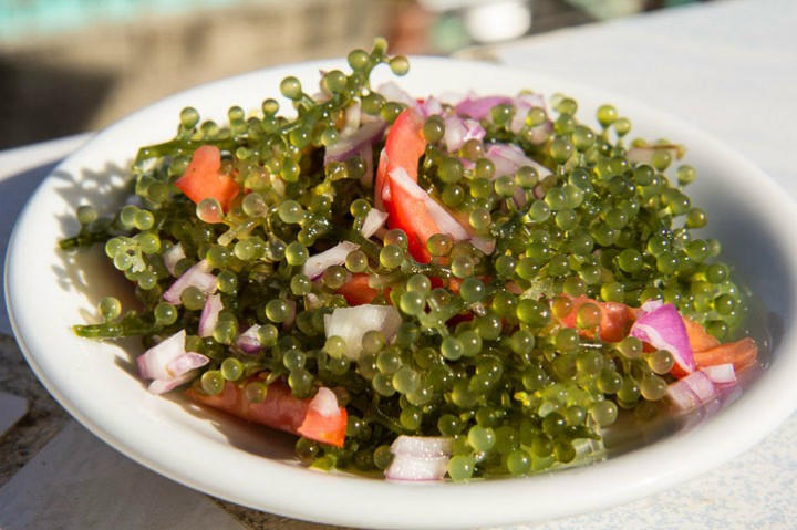 món ngon, đặc sản, món lạ, món ngon mỗi ngày