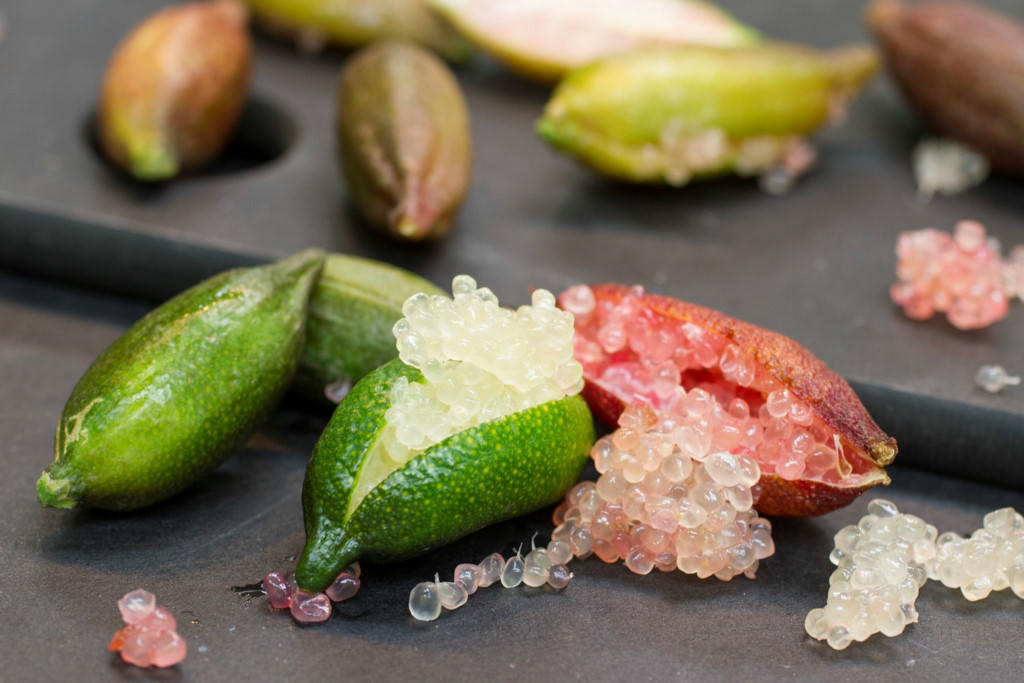 món ngon, đặc sản, món lạ, món ngon mỗi ngày