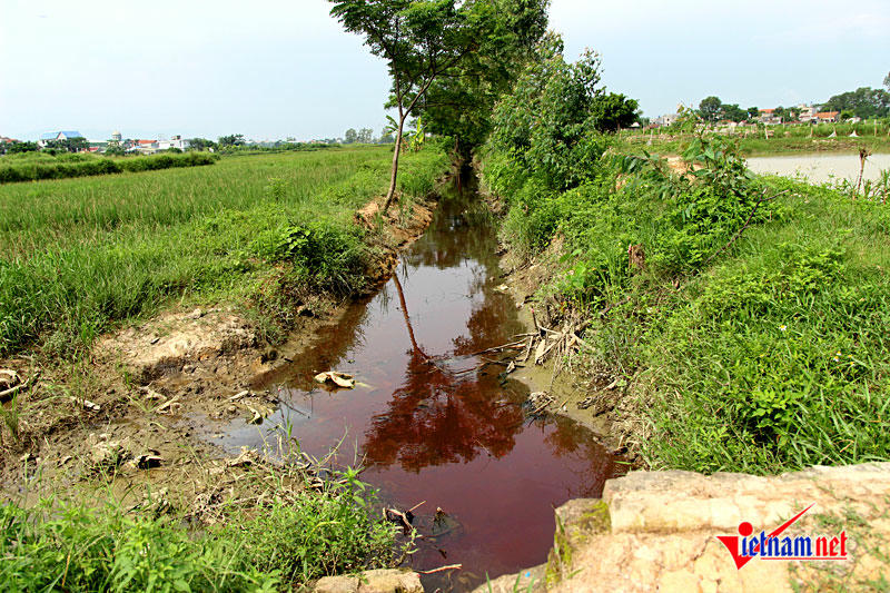 Môi trường, vi phạm môi trường, tội phạm môi trường Môi trường, vi phạm môi trường, tội phạm môi trường