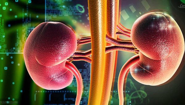 suy thận, bệnh thận, suy thận