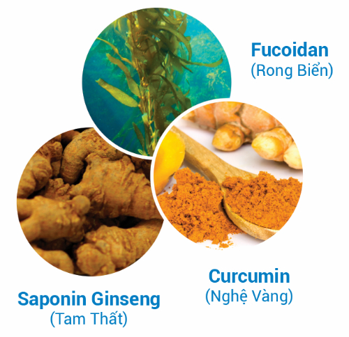 cach-dung-thao-duoc-chong-suy-kiet-sau-hoa-xa-tri-ung-thu