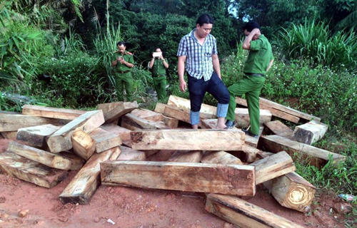 don-pho-bien-phong-bi-bat-trong-vu-pha-rung-po-mu-o-quang-nam-1