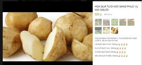 vải thiều, tía tô, nông sản Việt, chổi chít, amazon, nông sản xuất khẩu