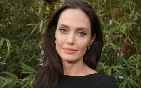 angelina jolie noi gi truoc tin don tai hop brad pitt hinh 1