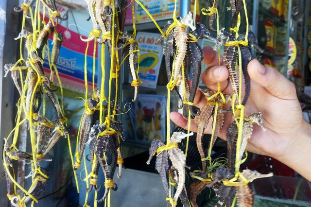 Thần dược phòng the,Thần dược của quý ông