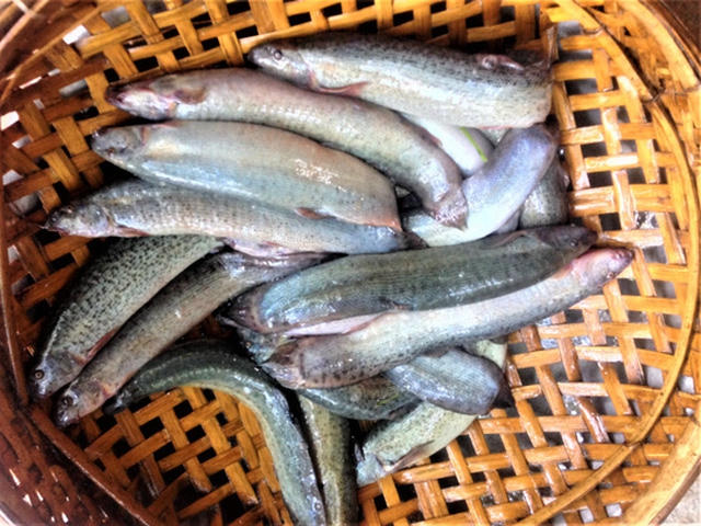 Thần dược phòng the,Thần dược của quý ông