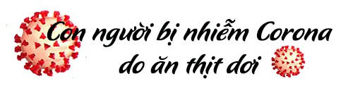 10 hoang tin trên mạng về virus Corona khiến nhiều người sợ hãi - ảnh 3