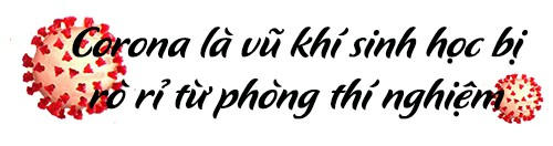 10 hoang tin trên mạng về virus Corona khiến nhiều người sợ hãi - ảnh 5