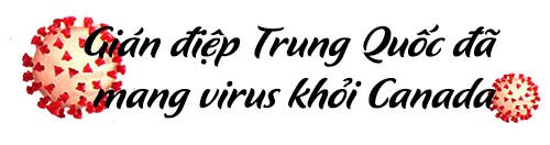 10 hoang tin trên mạng về virus Corona khiến nhiều người sợ hãi - ảnh 7