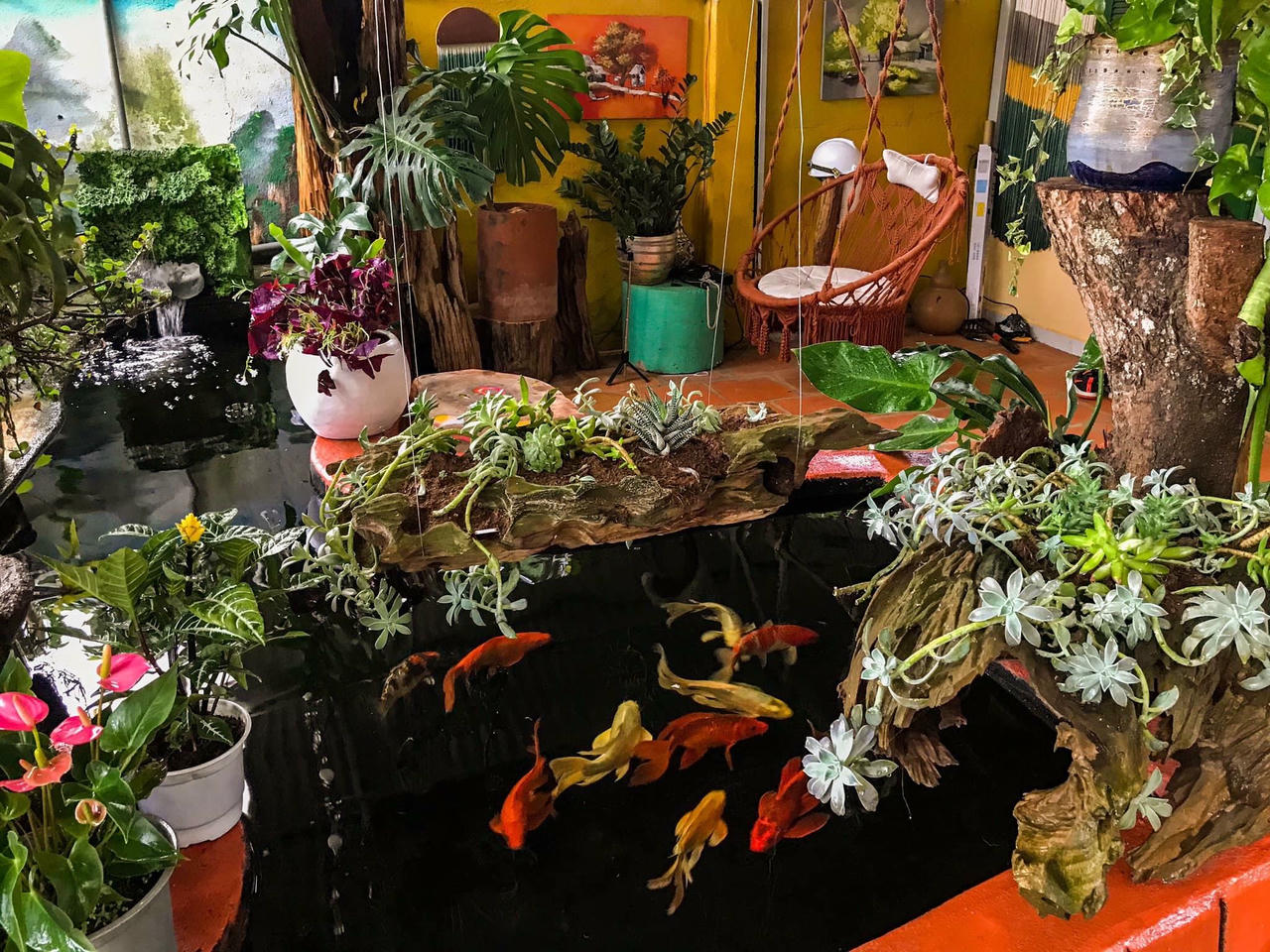 Về quê 'trốn dịch', 8x tự tay xây homestay đẹp như Đà Lạt, làm hồ cá Koi đẹp mê ly