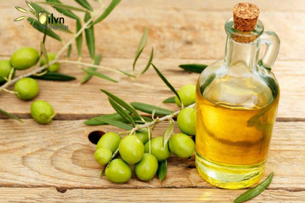 Kết quả hình ảnh cho dầu oliu