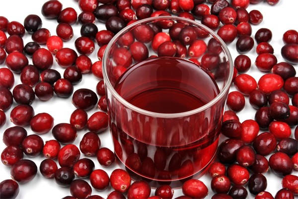 Kết quả hình ảnh cho quả nam việt quất