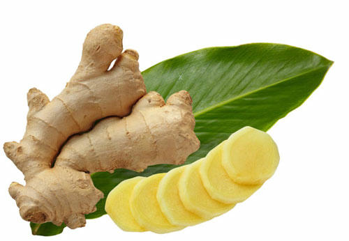 Kết quả hình ảnh cho gừng